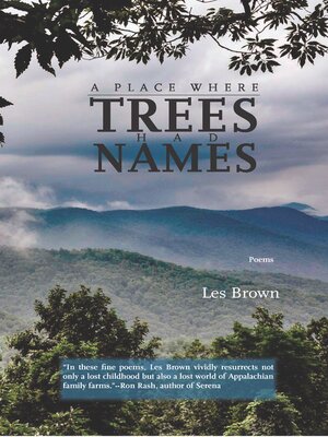 cover image of A Place Where Trees Had Names